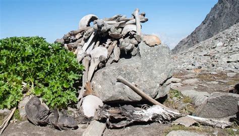 Hundreds of Skeletons at Roopkund Lake of the Himalayas - Historic ...