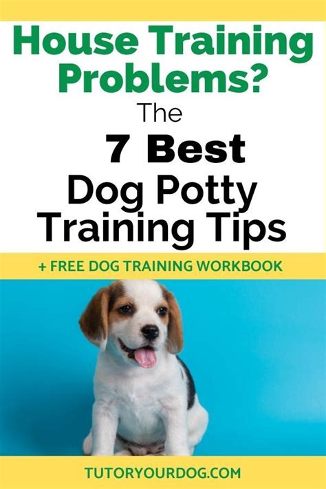 The 7 Best Dog Potty Training Tips - Tutor Your Dog | Dog potty training, Potty training tips ...