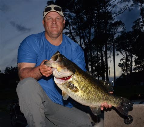 Lake Naconiche Record Bass Is Descendant Of Falcon Reservoir Sharelunker