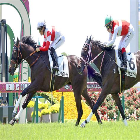 【京都5r・2歳新馬】1番人気ダノンフェアレディが一番星！京都・芝マイルの2歳新馬戦で歴代最速タイム 2024年6月1日掲載