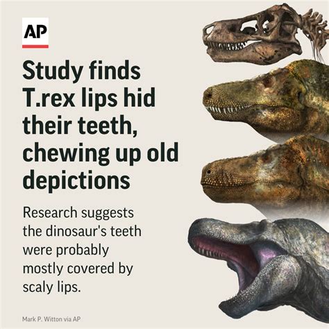 The Associated Press On Twitter The Tyrannosaurus Rex Is Often Shown