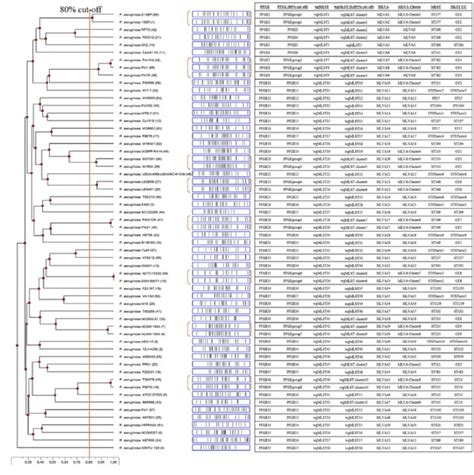 Fig Dendrograms Showing The Genetic Relationships Among Strains Of