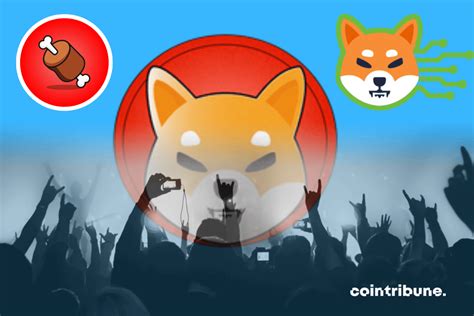 Shiba Inu New Records On Shibarum Million Transactions Tremplin Io