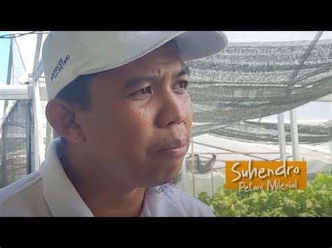 Keren Petani Milenial Sukses Kembangkan Melon Hidroponik Youtube