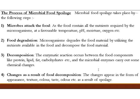 Solution Microbial Food Spoilage Studypool