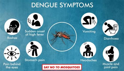 Dengue Fever: Symptoms, Treatment And Prevention