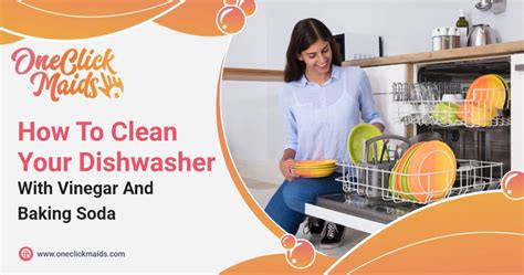 How To Clean Your Dishwasher With Vinegar And Baking Soda