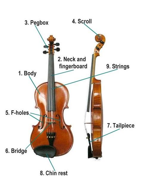 violin structures: violin parts and more!