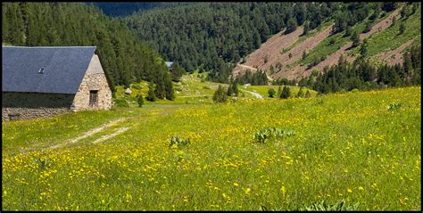 Vall d Aiguamòg ll lloren Flickr