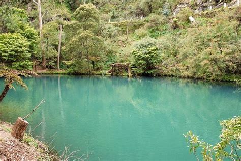 Sydney Dagtrip Cruise Jenolan Caves Blue Mountains Aangeboden Door