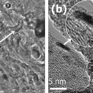 TEM Images Of Hot Pressed Bulk Ni 0 05 Mo 3 Sb 5 4 Te 1 6 With 3 CNT