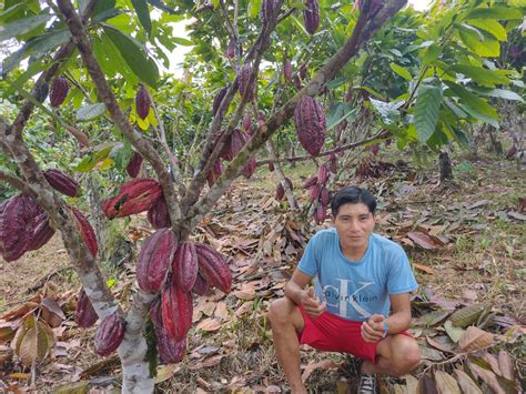 Programa Bosques On Twitter En Amazonas La Comunidad Nativa