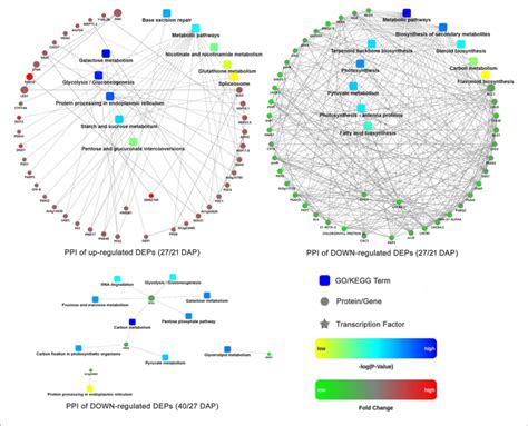 Protein Protein Interaction Networks Of Deps At Different Seed