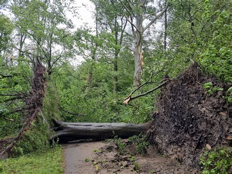 Help Buitenplaats Elswout Weer Opengaan Noord Holland