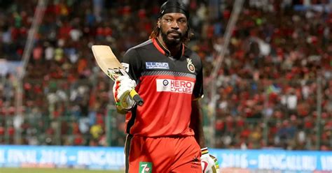 Chris Gayle Biography Chris Gayle Profile Chris Gayle Net Worth