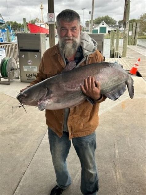 Another Bridgeville Angler Lands A Record Blue Catfish In Nanticoke