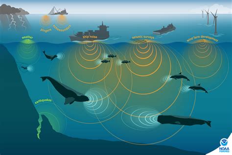 Roadmap And Implementation Ocean Noise Strategy