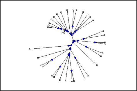 Draw Phylogenetic Tree Matlab Plot Phytree Mathworks