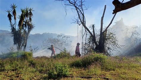 Mantienen Acciones Para Controlar Incendios Forestales En El