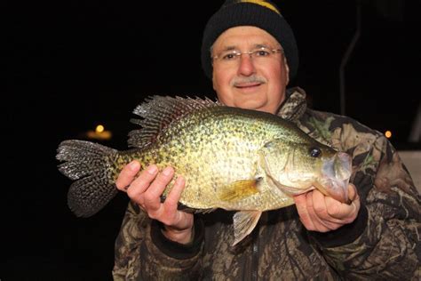 Huge Pennsylvania Crappie Nearly Breaks Record