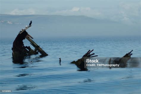 Old Shipwreck In The Fjord With A Cormorant Bird Sitting On Top Stock