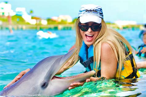 Dolphin Discovery Cozumel – Pulse Tourism – Budget Holiday Advice ...