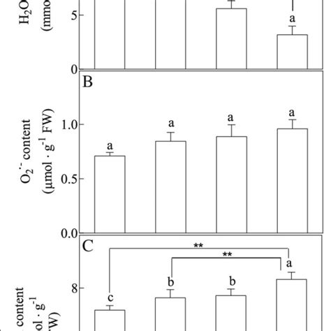 Effects Of Altitude Gradient On The Values Of H 2 O 2 Content A O 2