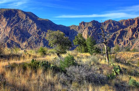 17 Stunning Photos Of Texas Big Bend National Park