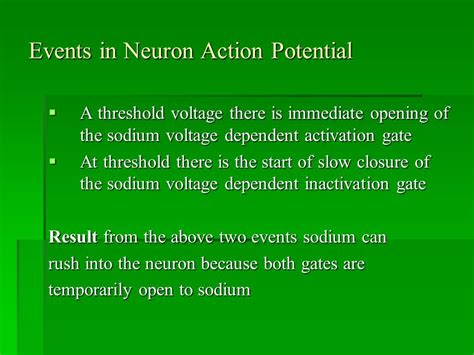 Electrophysiology Of Muscles Skeletal Muscle Action Potential Ppt