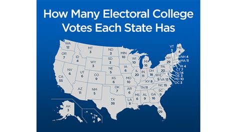 Explain The Process Of The Electoral College