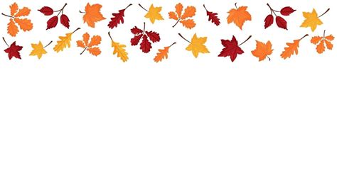 Vector banner with colorful autumn leaves 3345017 Vector Art at Vecteezy