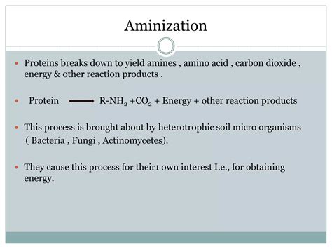 Soil Science Soil And Fertilizer Nitrogen Forms Mineralization