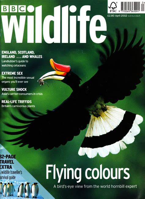 Bbc Wildlife Magazine April 2002 Editorial Published Work Wildlife