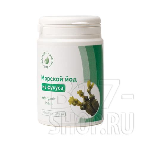 Морской йод из фукуса , купить в Москве - B17-shop.ru