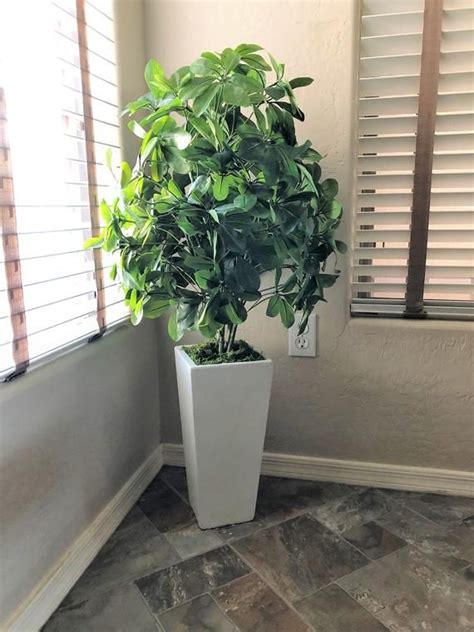 Looking Good Large Fake Potted Plants Plastic For Bathroom