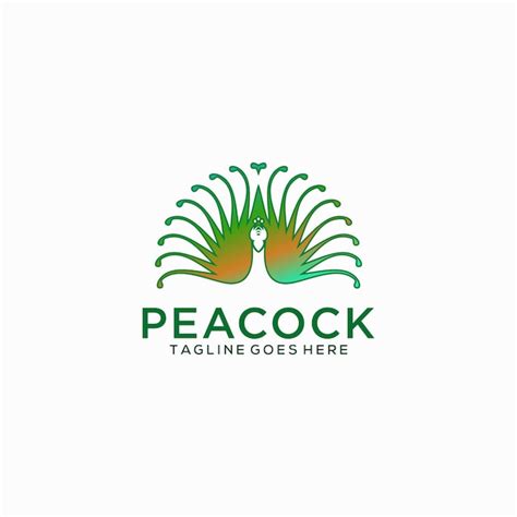 Premium Vector Colorful Peacock Logo Design Template