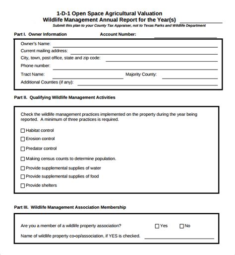 Management Report Template