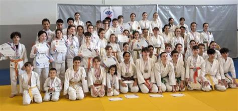 Le nihon taï jitsu à la fête à Lorient Fédération Française de Karaté