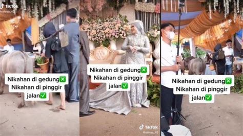 PENGANTIN Gelar Nikahan Di Pinggir Jalan Tiba Tiba Muncul Kerbau