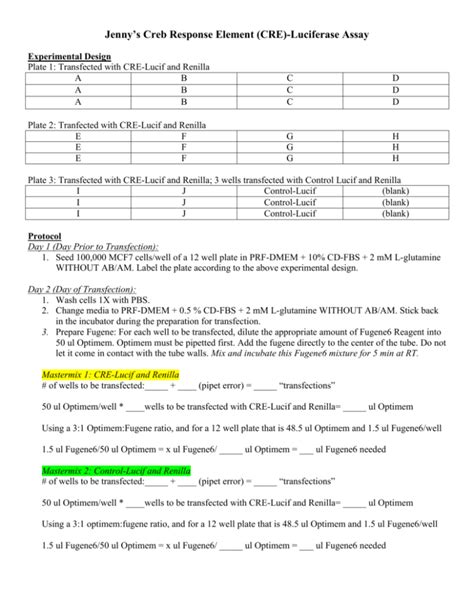 Luciferase Assay Protocol