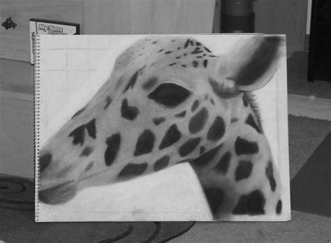 Giraffe By Dustygnome On Deviantart