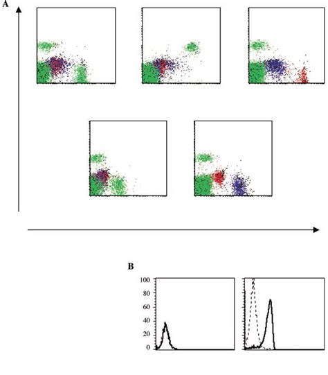 Blys Receptor Expression Among Normal Human Peripheral Blood Nucleated