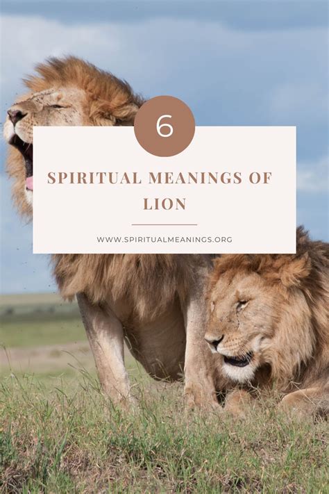 6 Spiritual Meanings Of Lion Symbolism