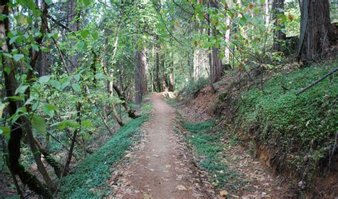 Deer Creek Environs Trail - Nevada City California