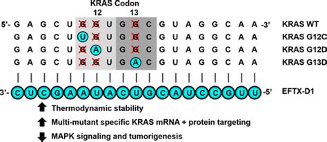 Silencing Of Oncogenic Kras By Mutant Selective Small Interfering Rna