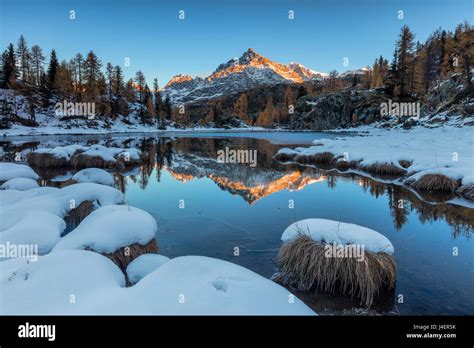 rocky peak reflected   frozen lake mufule  dawn malenco