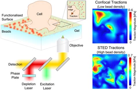 Super Resolved Traction Force Microscopy Stfm Abstract Europe Pmc