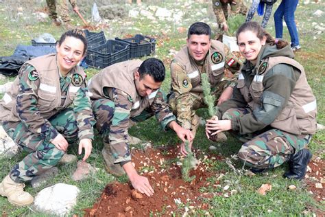 Restoring Lebanon's Forests - Lebanon Traveler