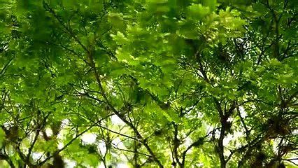 Watch Beautiful Tag Tags Solo Porn SpankBang