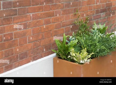 Herb Planters Hi Res Stock Photography And Images Alamy